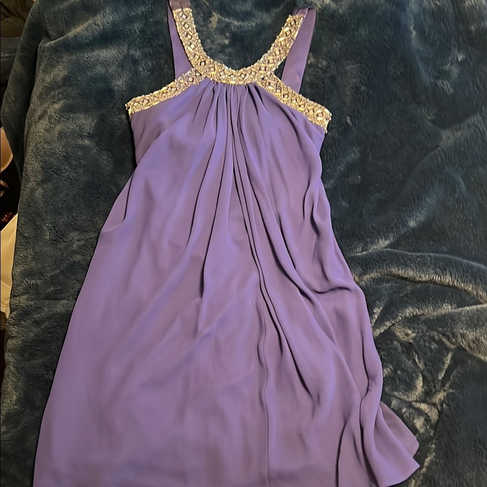 Scarlett Nite Purple Dress with Silver Accents